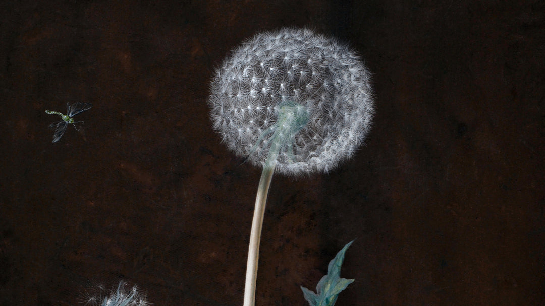 Vintage portrait prints add a vintage charm to a modern kitchen