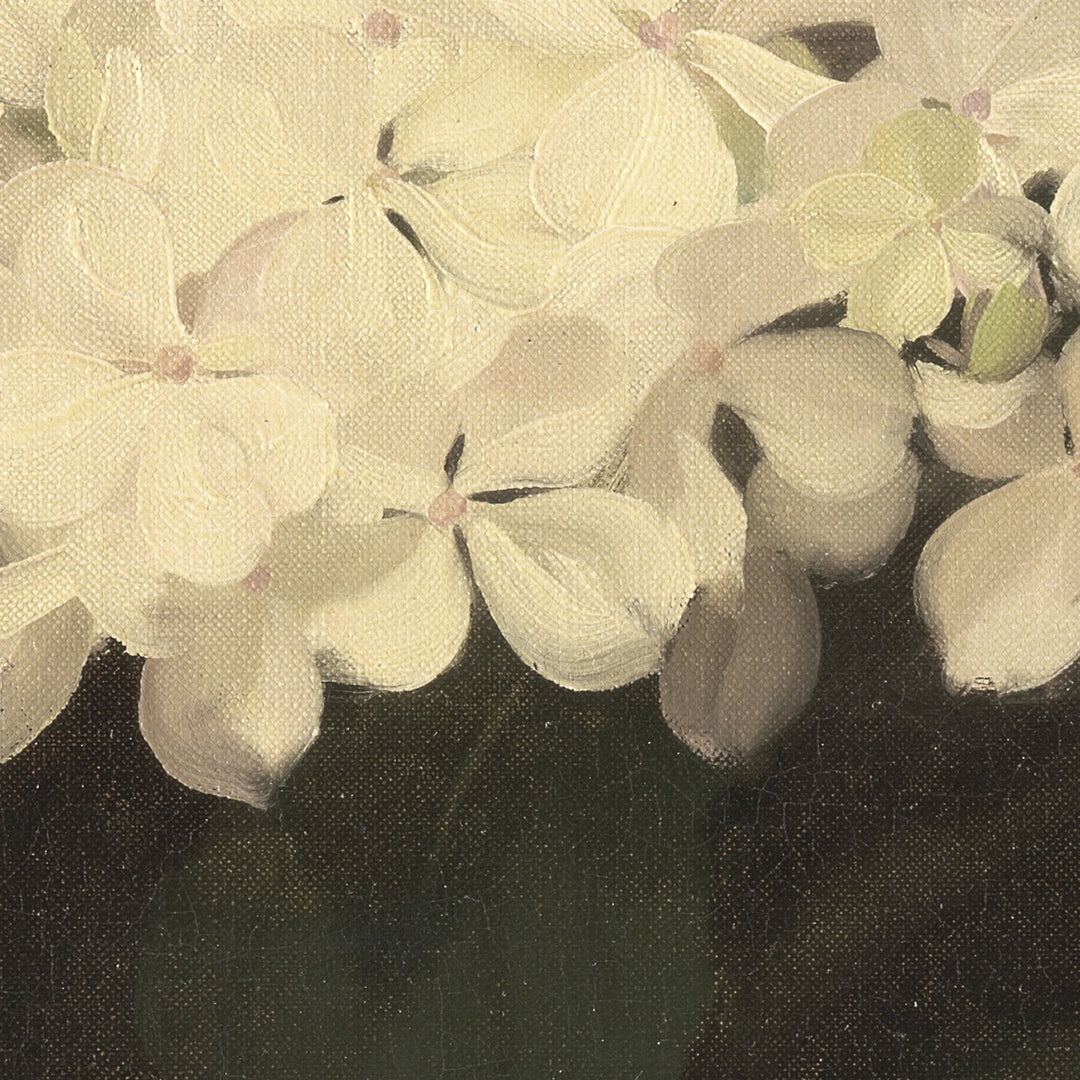 The midnight collection, a curated collection of dark and moody vintage wall art