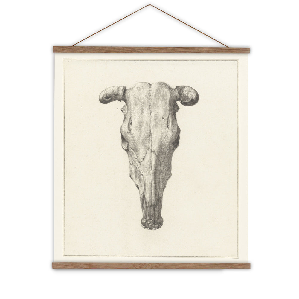 southwestern style wall decor - cow skull
