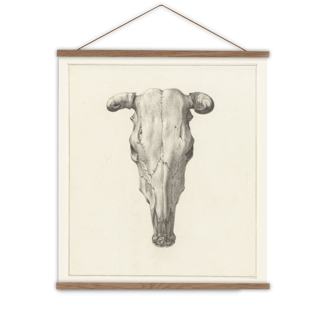 southwestern style wall decor - cow skull