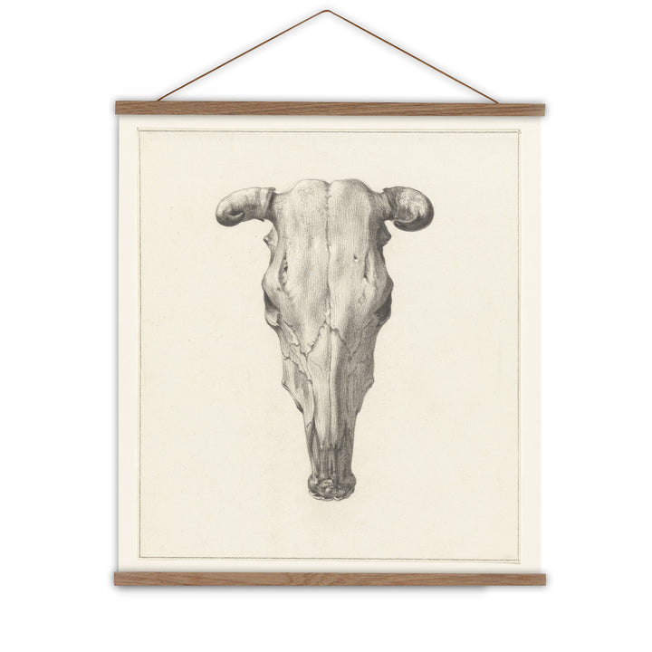 southwestern style wall decor - cow skull