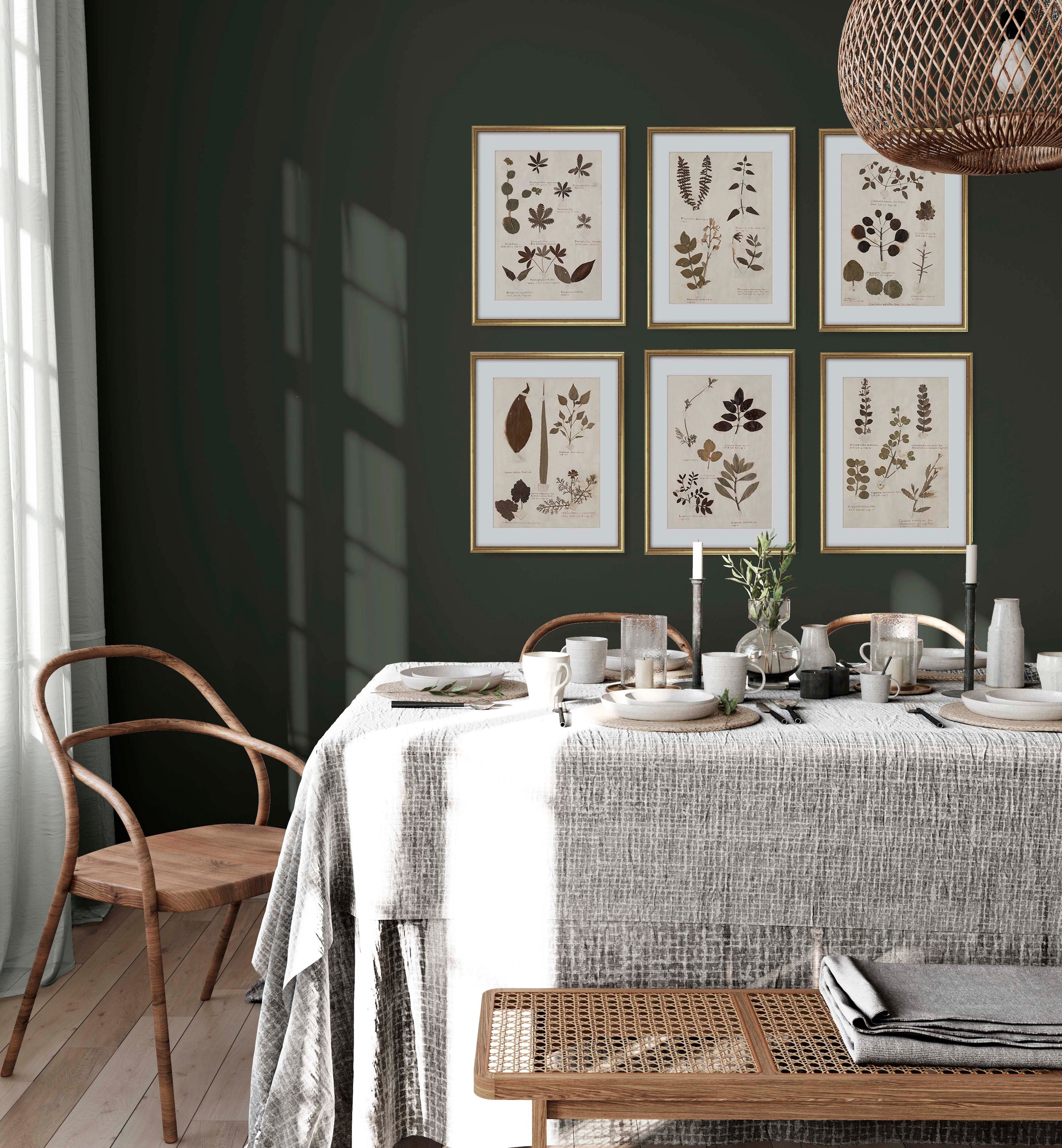 Herbarium Collection from Attica Press