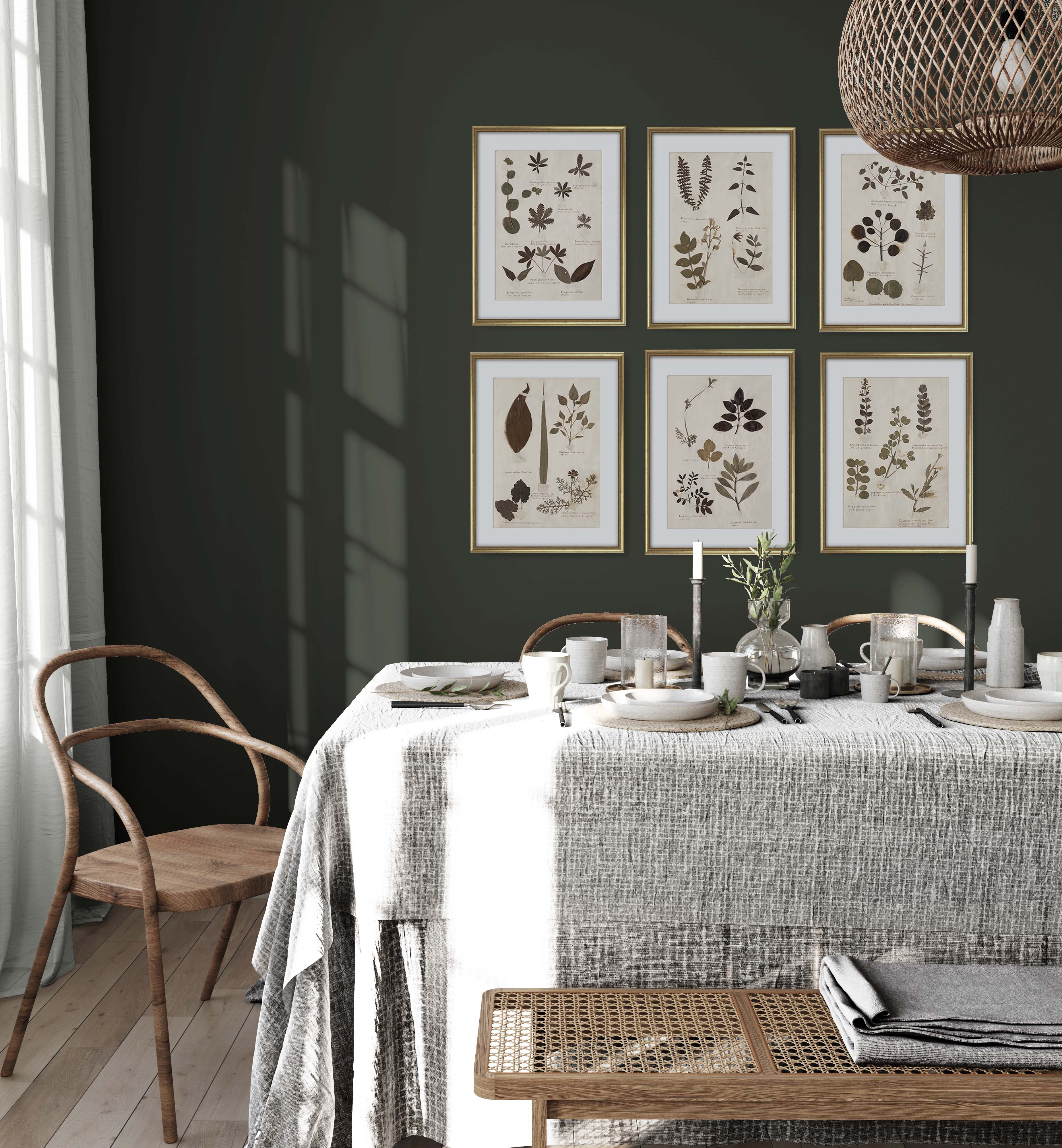 Herbarium Collection from Attica Press