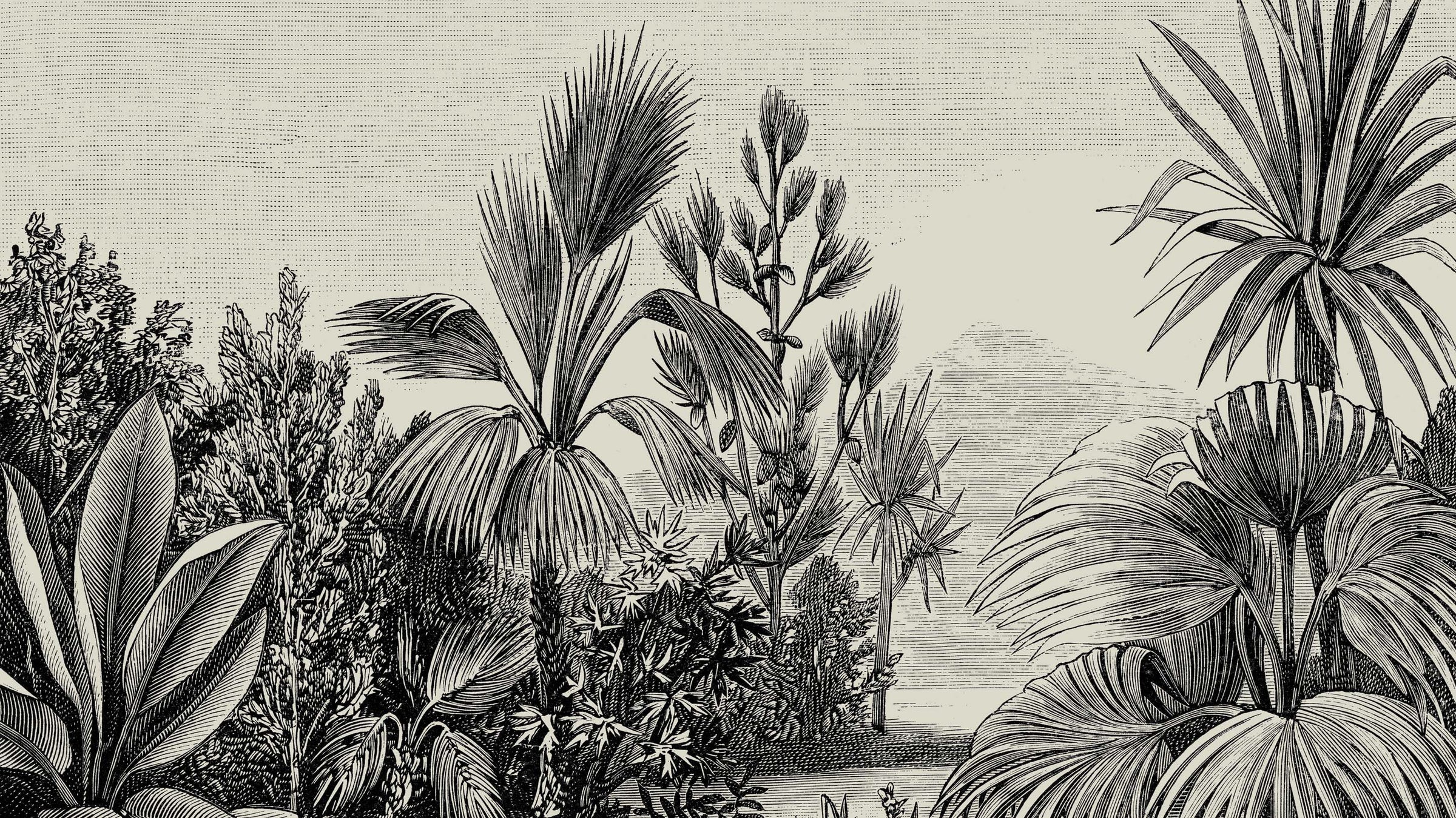 tropical art prints by Attica Press