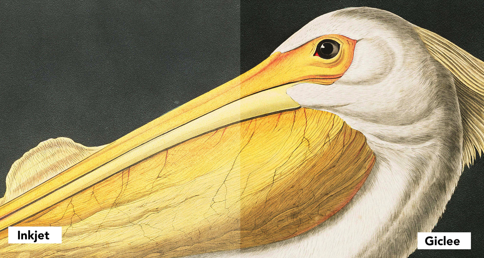 Comparison of inkjet to giclee printing