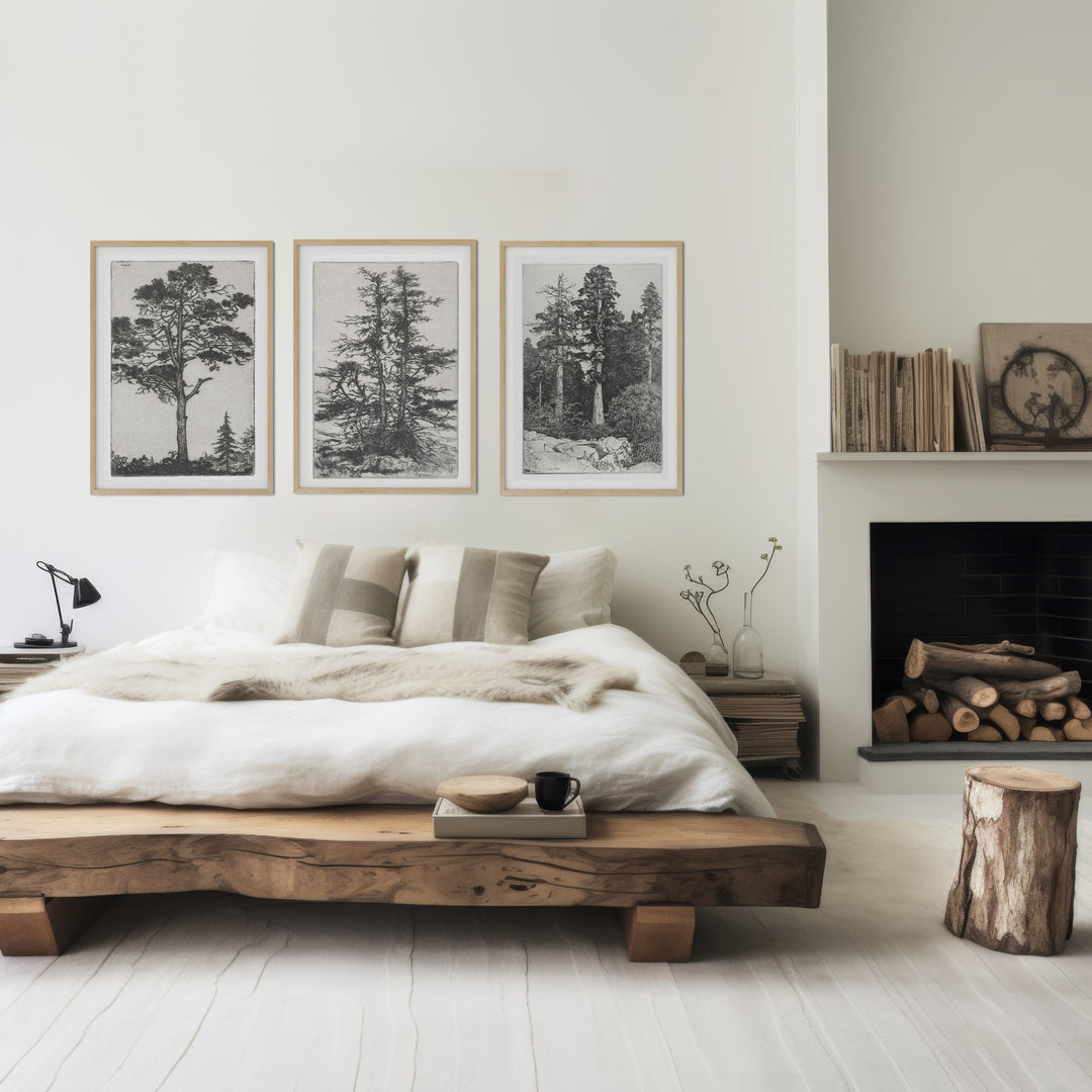 Bedroom wall art featuring Ernest Haskell black and white vintage tree engravings featuring a set of 3 prints  of tree sketches, pitch pine, baby sequoia and moss trees
