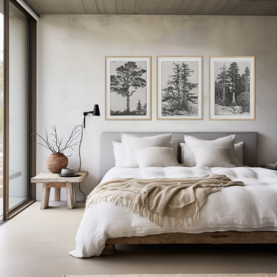 Bedroom wall art featuring Ernest Haskell black and white vintage tree engravings featuring a set of 3 prints  of tree sketches, pitch pine, baby sequoia and moss trees