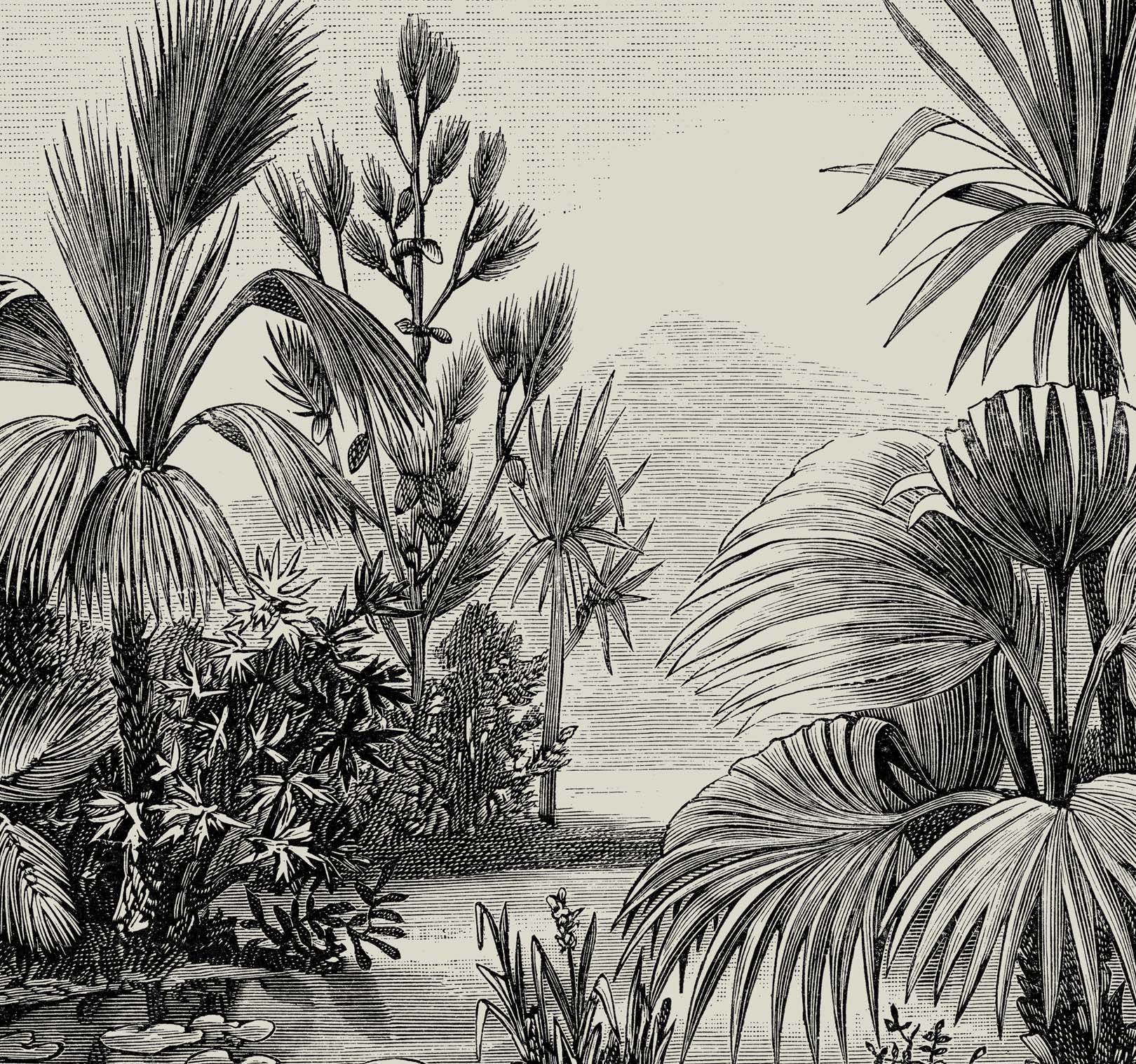 Tropical art prints by Attica Press