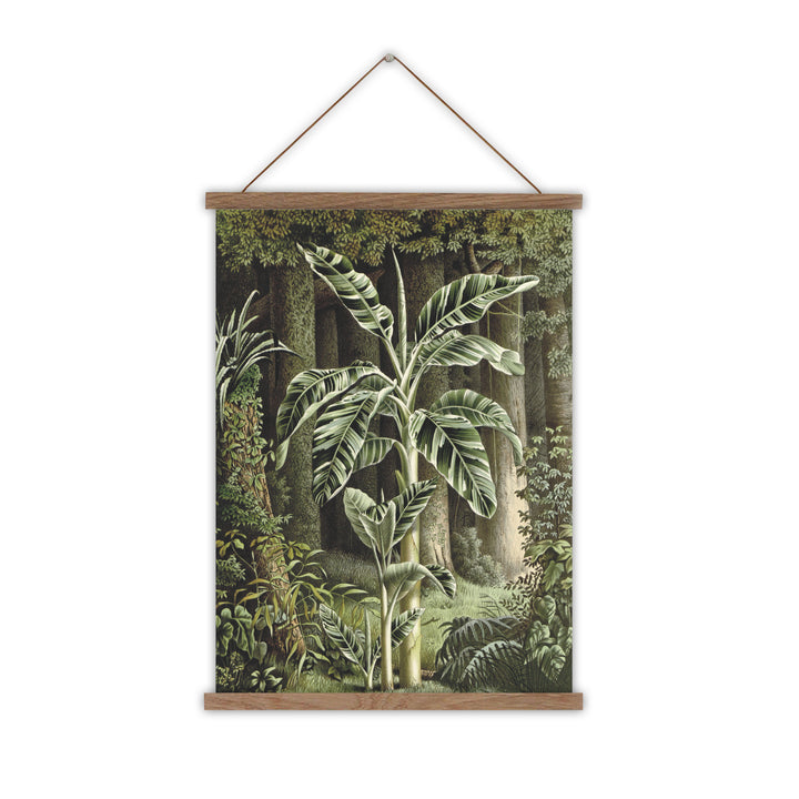 Mus Vittata canvas wall chart tropical print