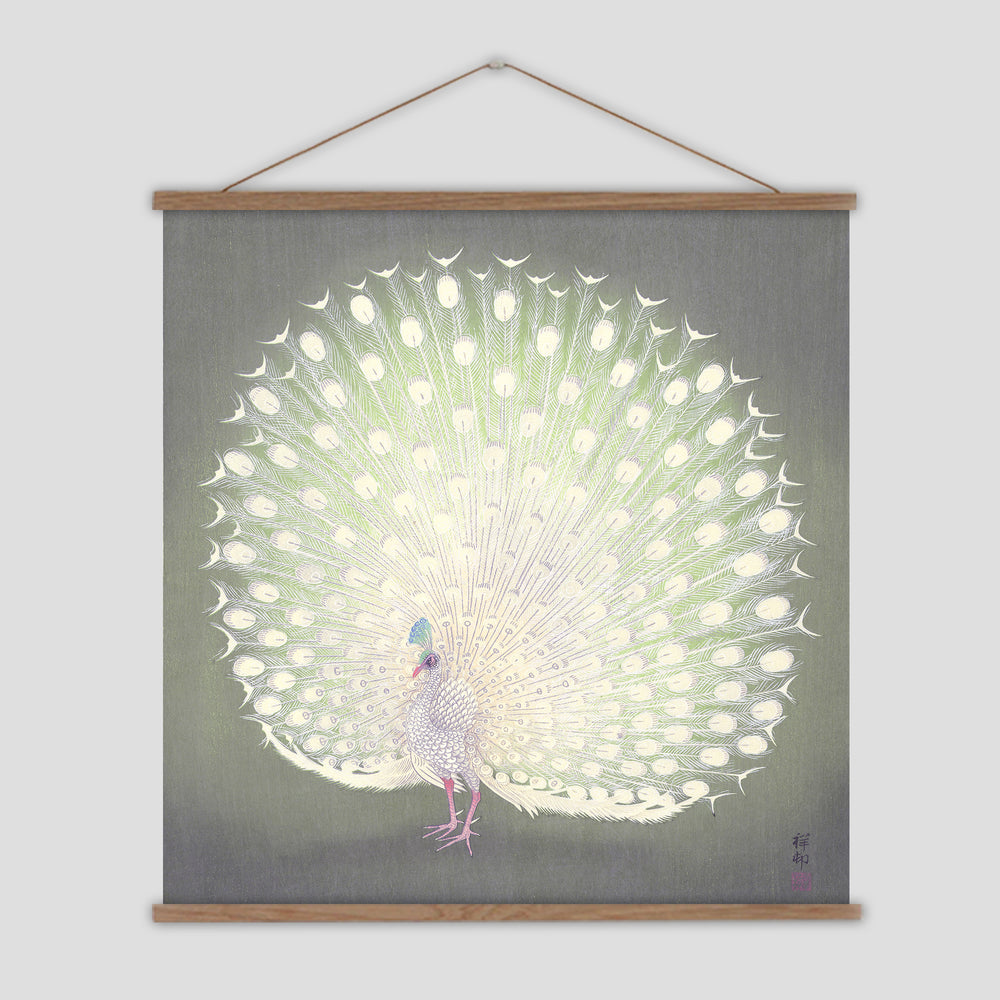 Painting of a white peacock by Ohara Koson on a grey green background