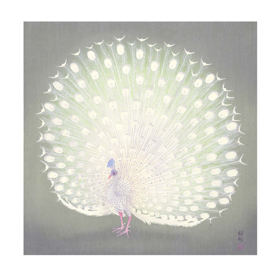 White peacock print by Ohara Koson