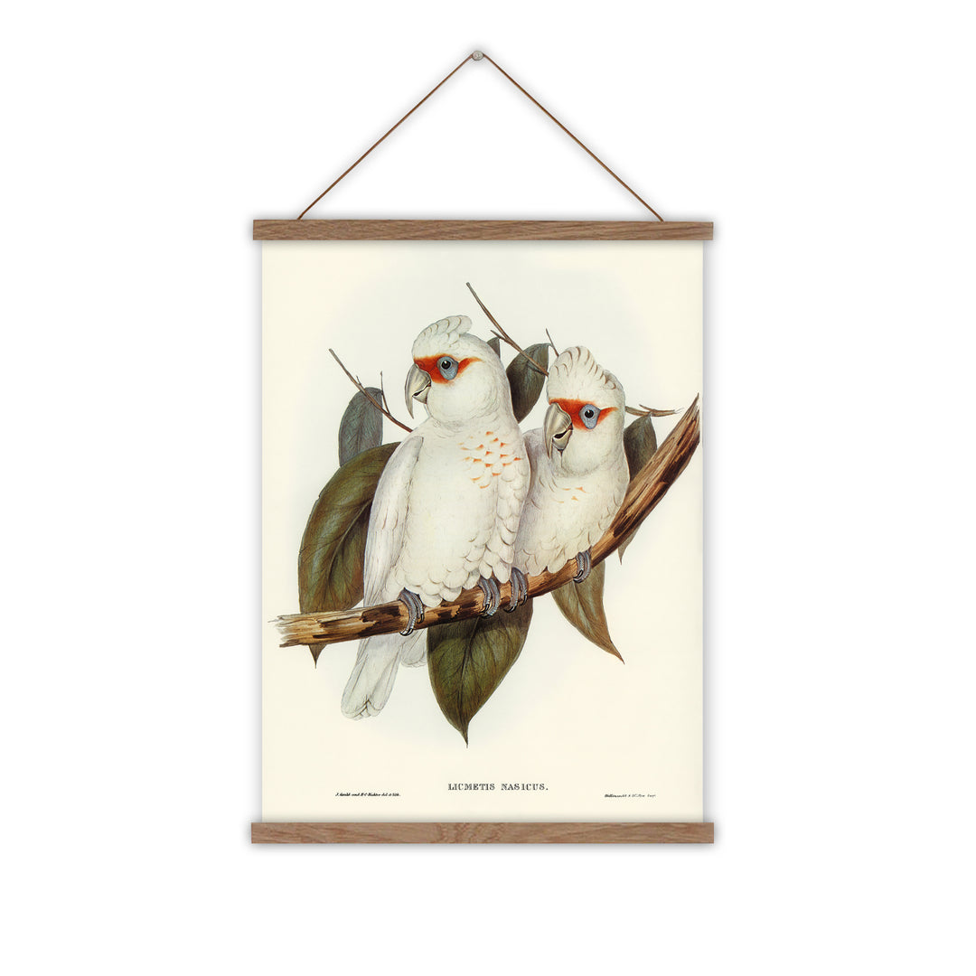 White cockatoo vintage canvas wall chart