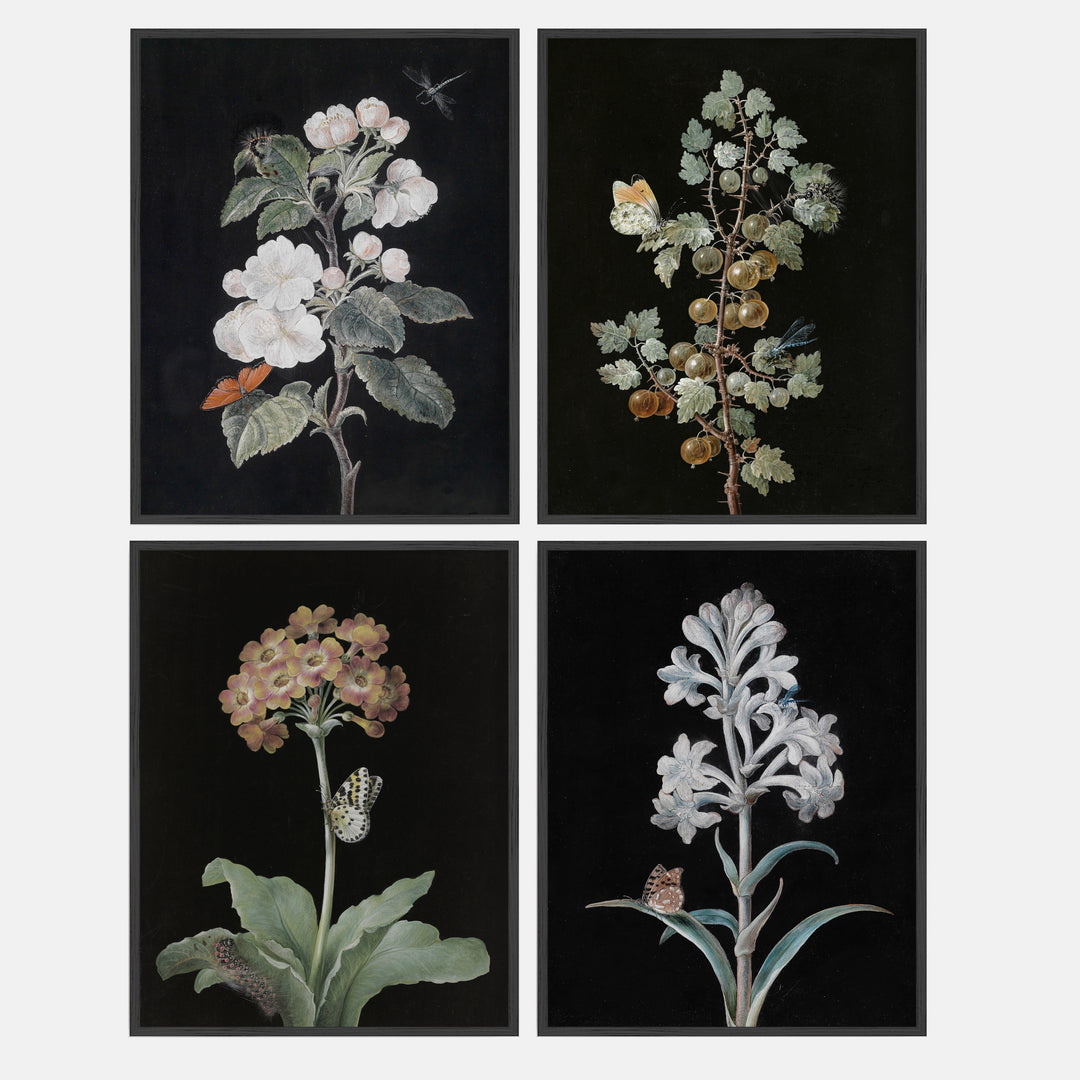 set of 4 flower prints