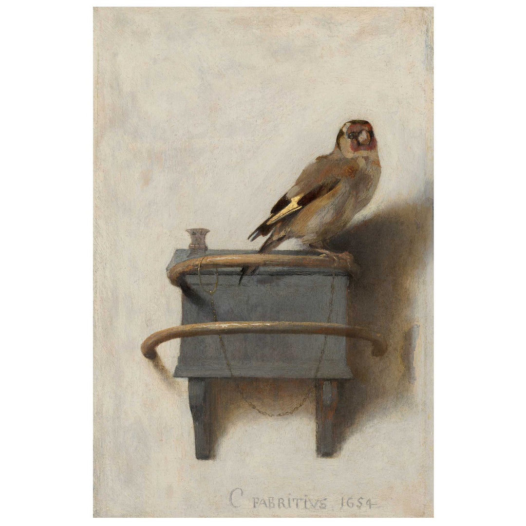 Goldfinch vintage wall art print