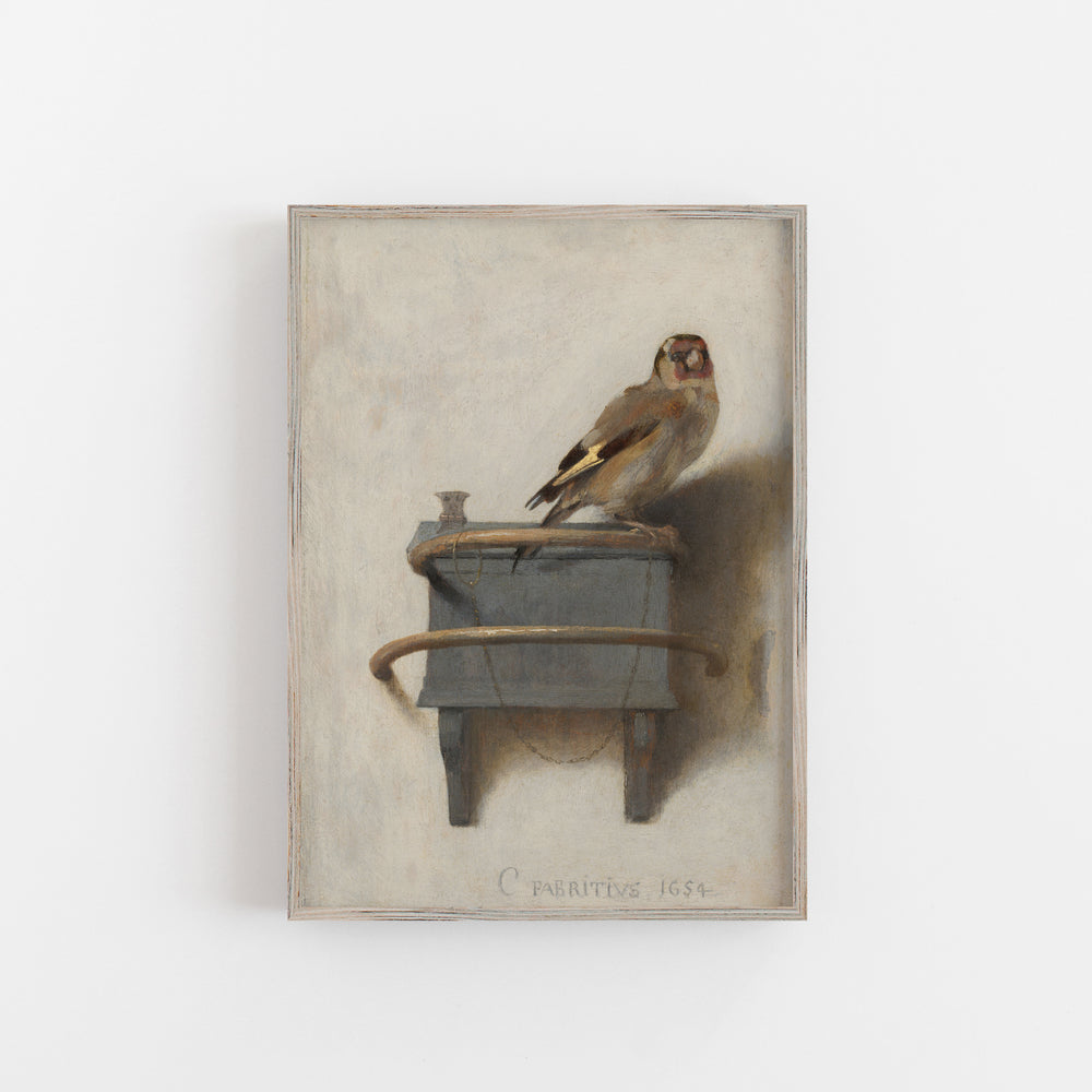 Goldfinch vintage wall art poster print