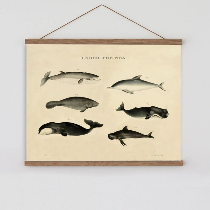 Vintage poster sea animals dolphins