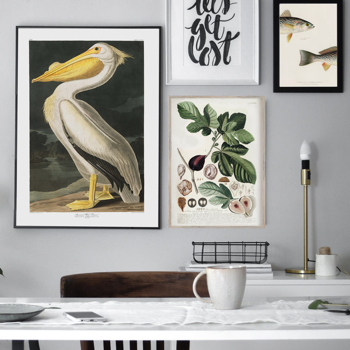Fig Botanical Print
