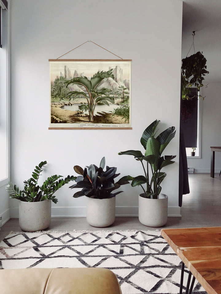 Schellarum canvas wall chart - Attica Press
