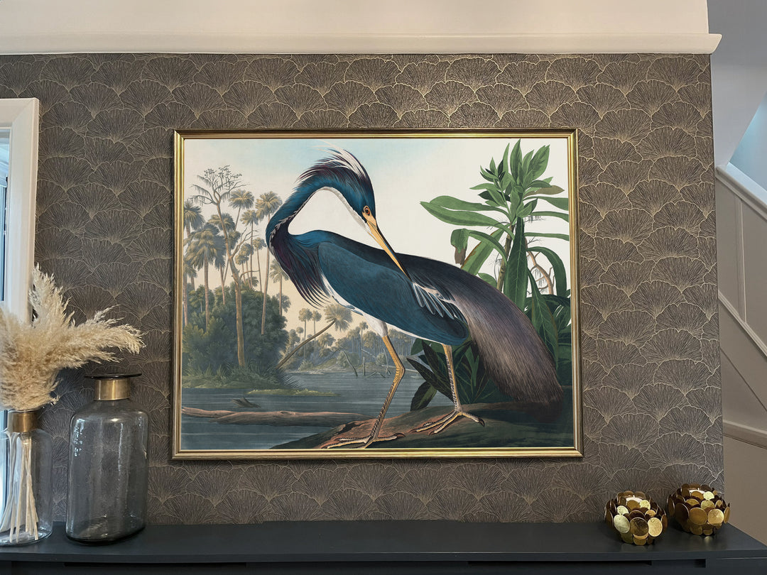 Audubon Bird Collection -  Louisiana Heron print