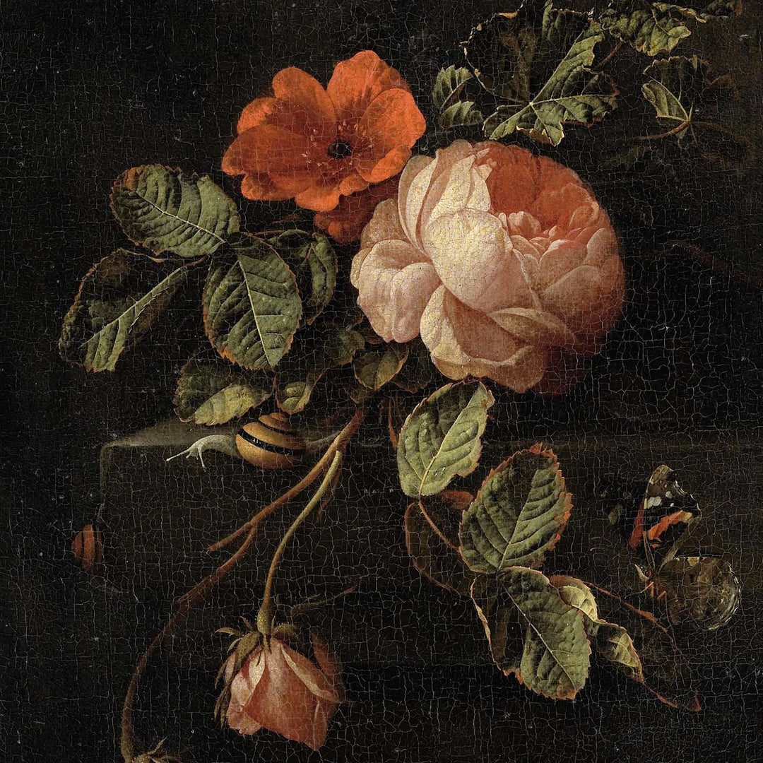 oil painting of dutch vintage roses on a dark background