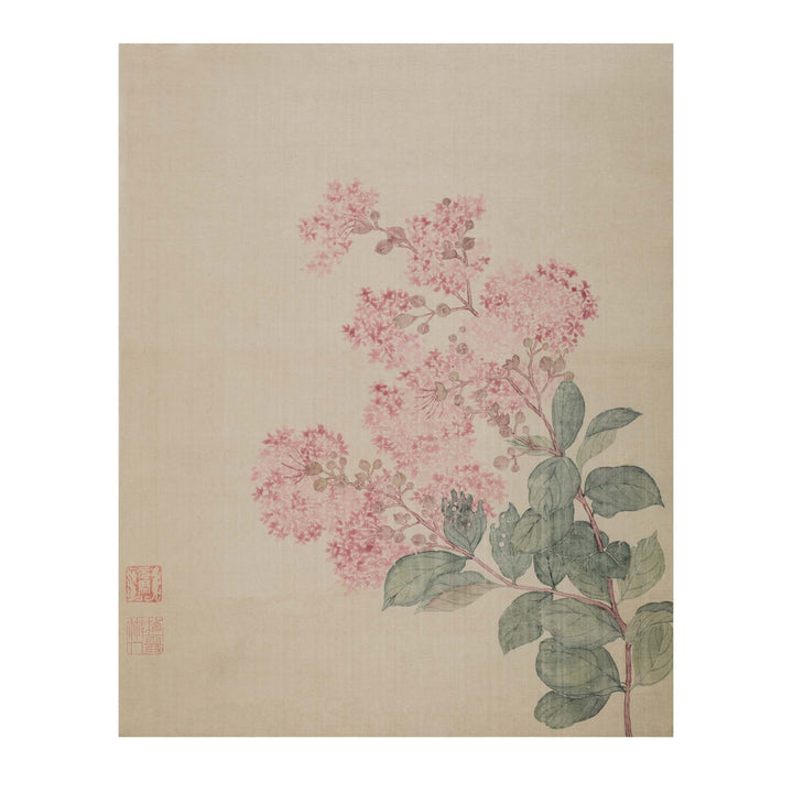 Chinese Hydrangea botanical  print by Ma Yuanyu