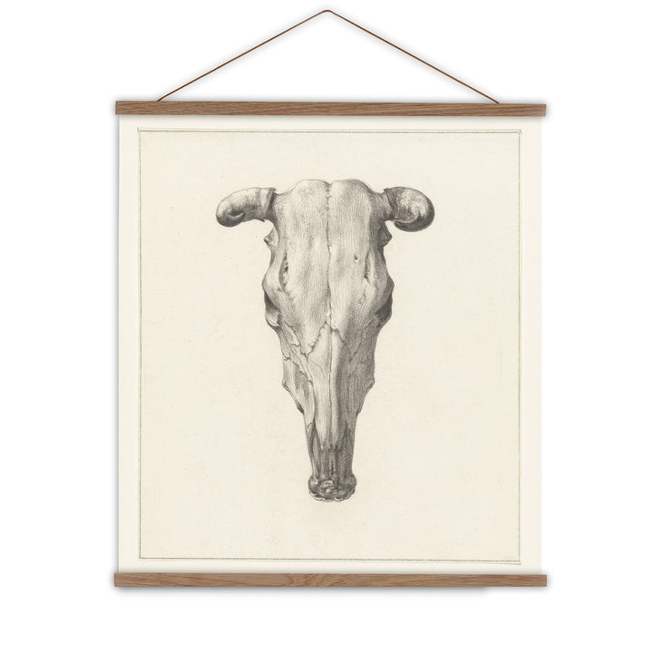 cow skull wall hanging