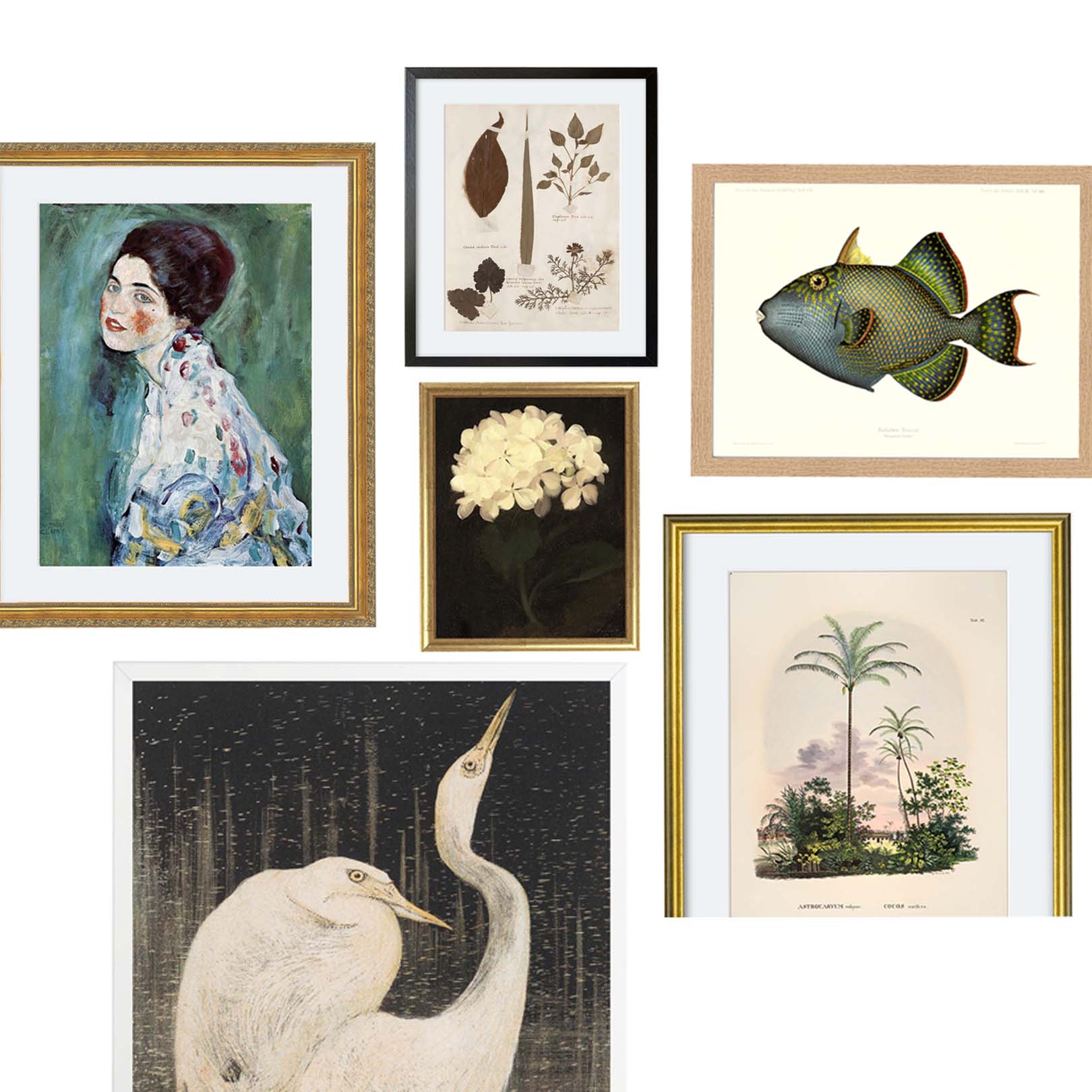 framed vintage prints from Attica Press