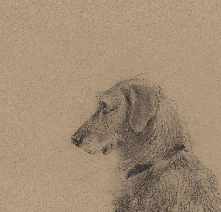 Waiting for you - Dog Sketch
