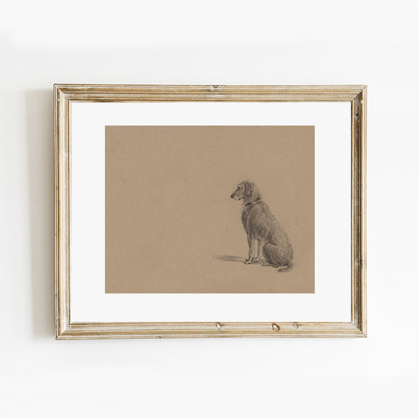 Waiting for you - Dog Sketch