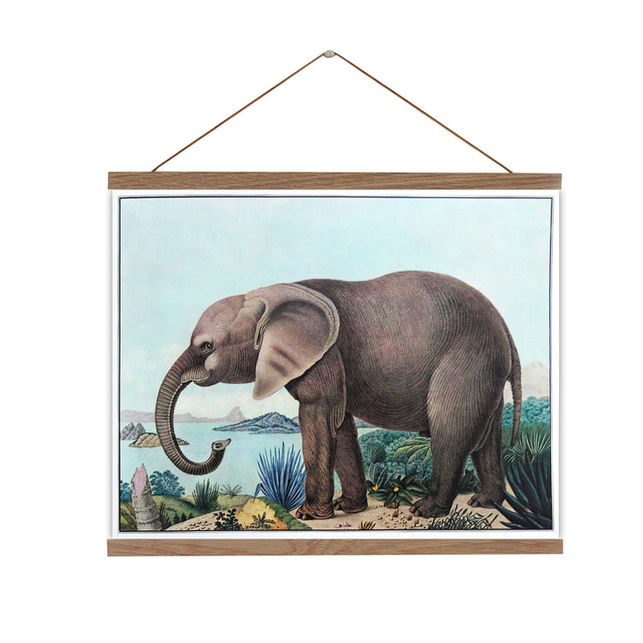 Canvas wall chart kids room print elephant