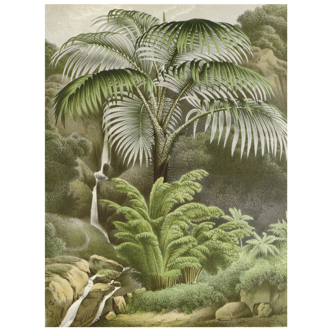 Vintage fine art palm tree print