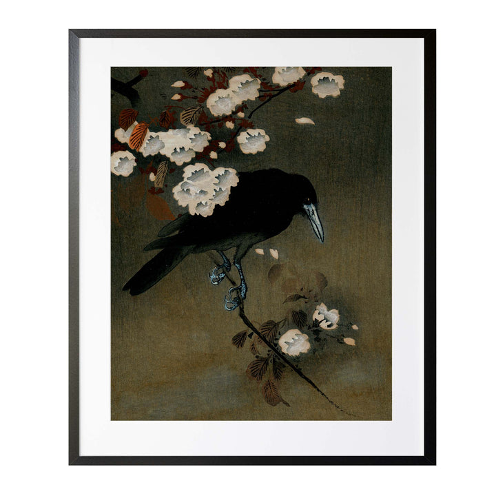 Japanese painting of a crow on a white blossom with a dark green background