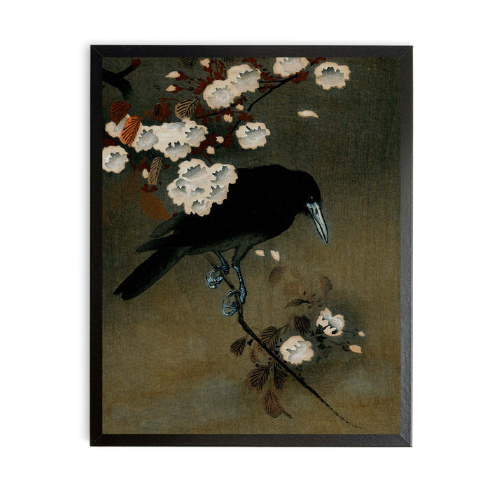 Japanese painting of a crow on a white blossom with a dark green background