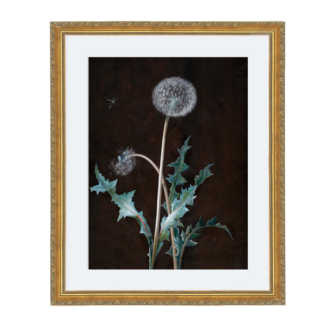 intricate painting of a dandelion with leaves on a dark background