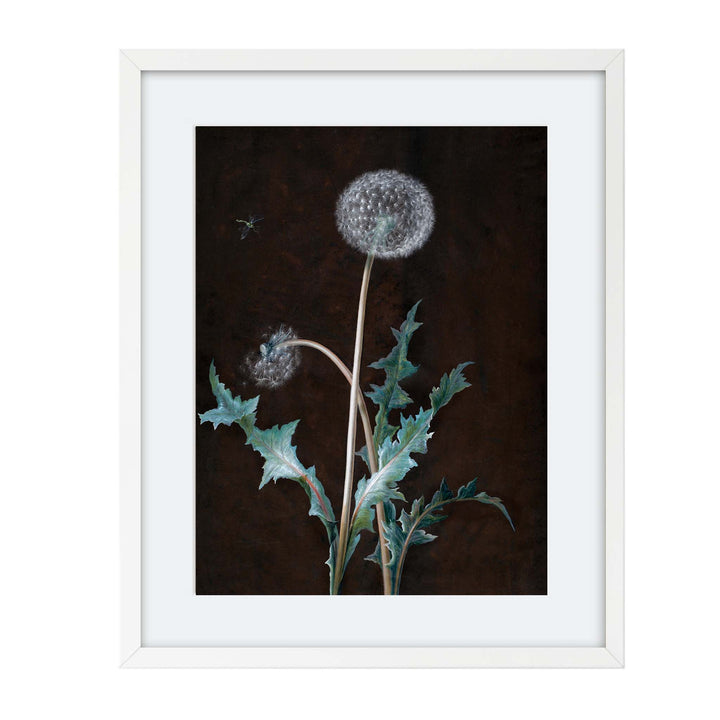 intricate painting of a dandelion with leaves on a dark background
