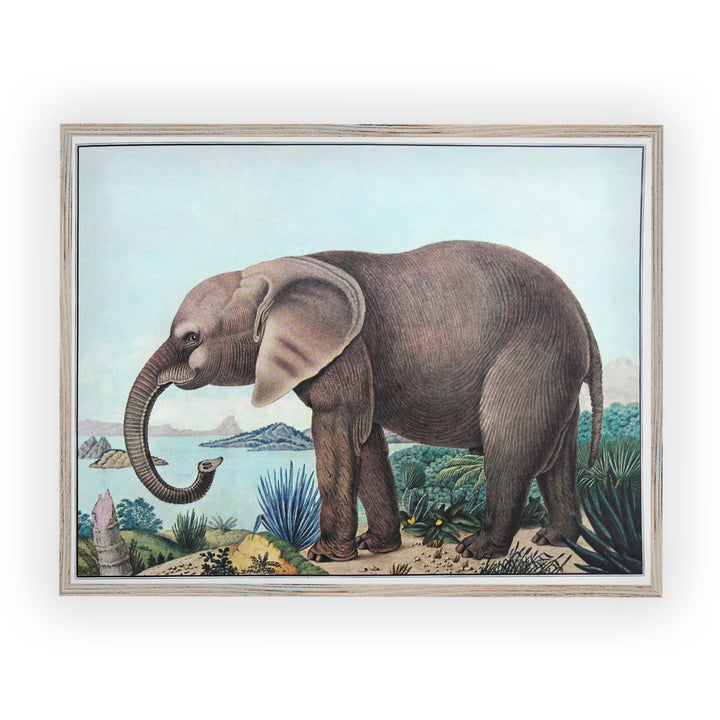 Nursery wall art vintage elephant 