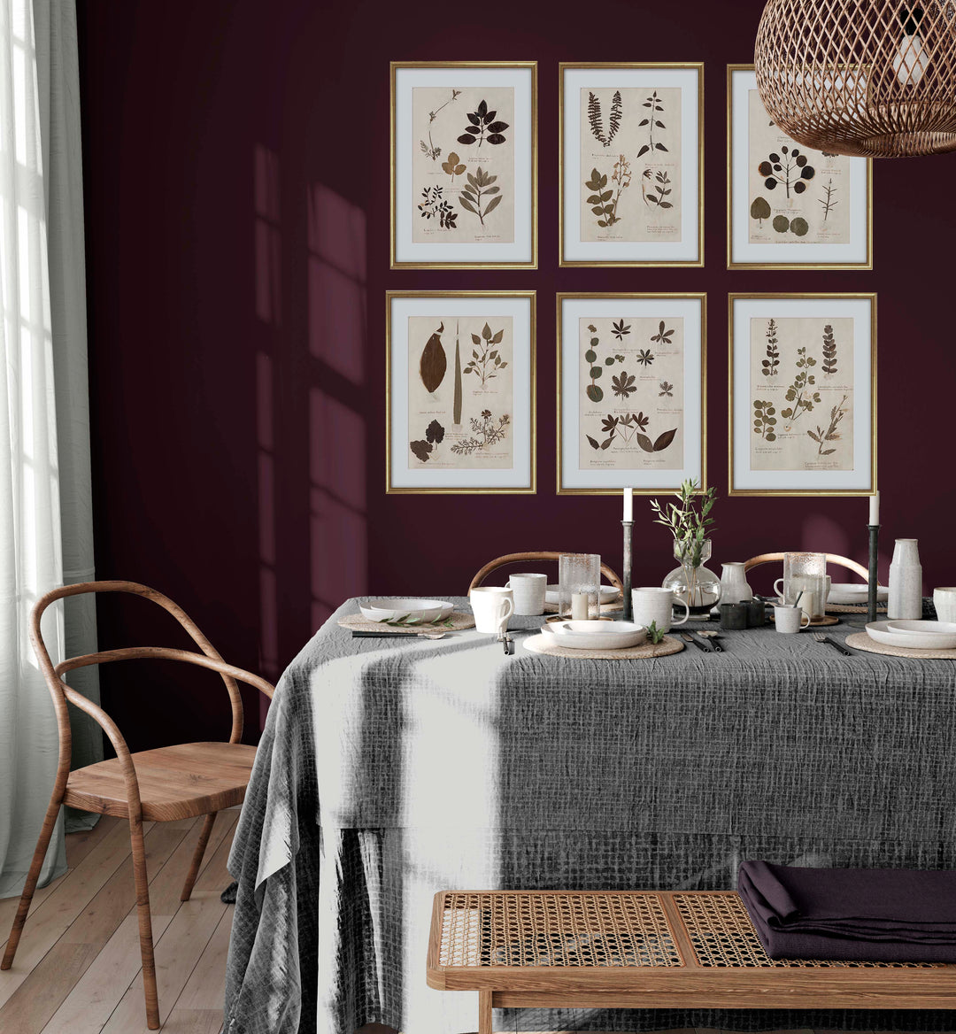 Botanical prints in a dining room against a burgundy red wall