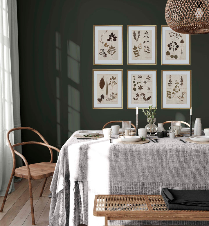 framed botanical prints dining room decor