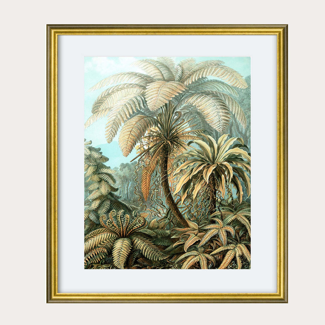 Ernst Haeckels painting of a tropical palm tree in shades of green a blue