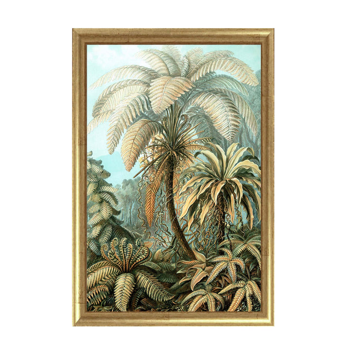 Ernst Haeckels painting of a tropical palm tree in shades of green a blue