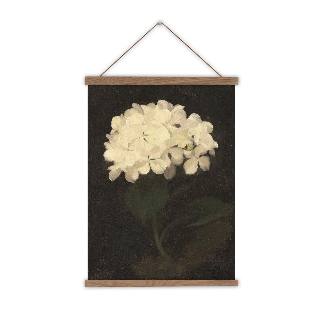 Painting of a white hydrangea on a black background