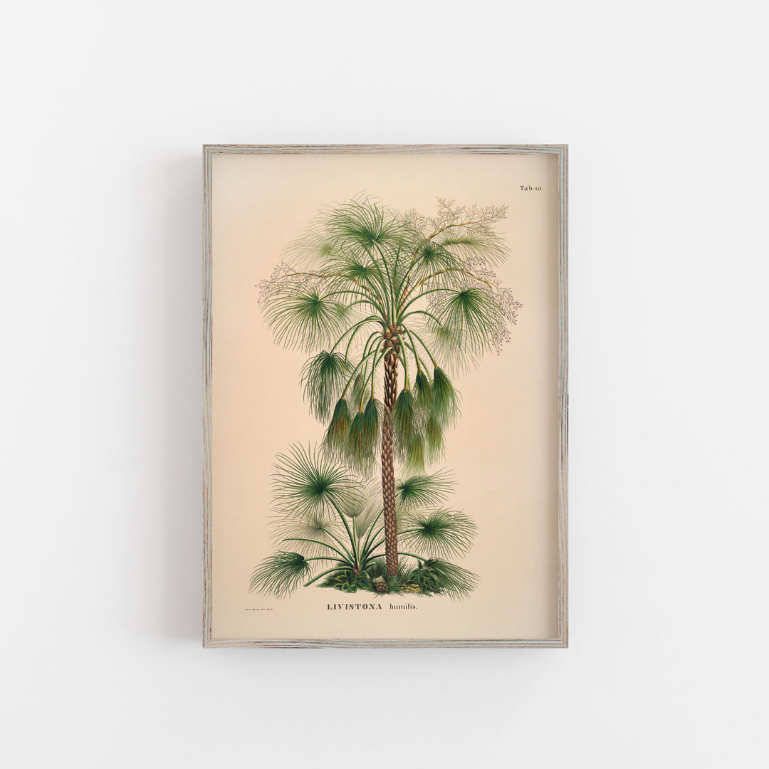 Sand palm tree wall art