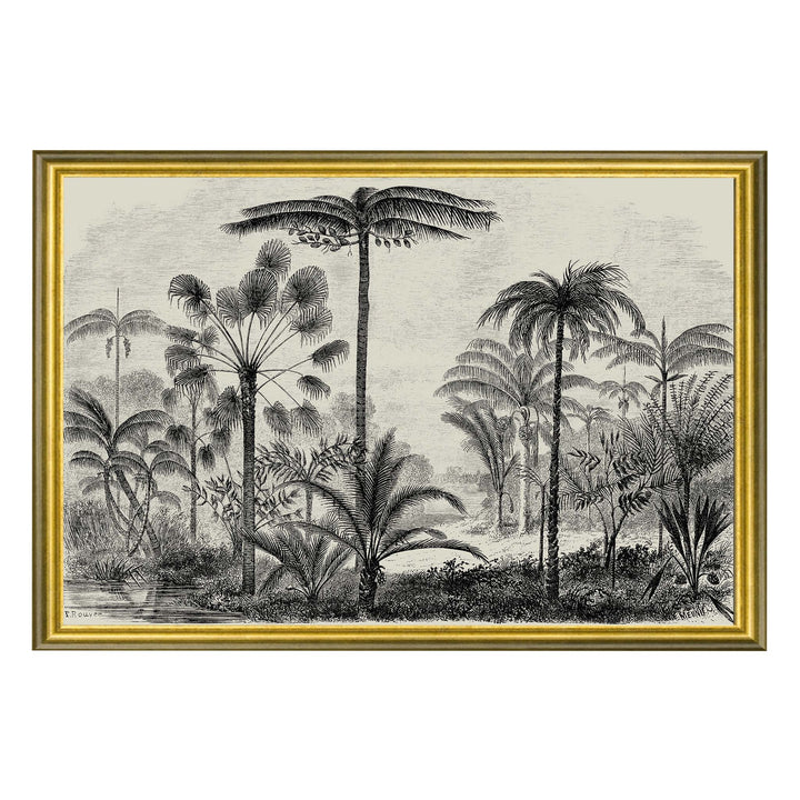 Black and white vintage illustration of palm trees