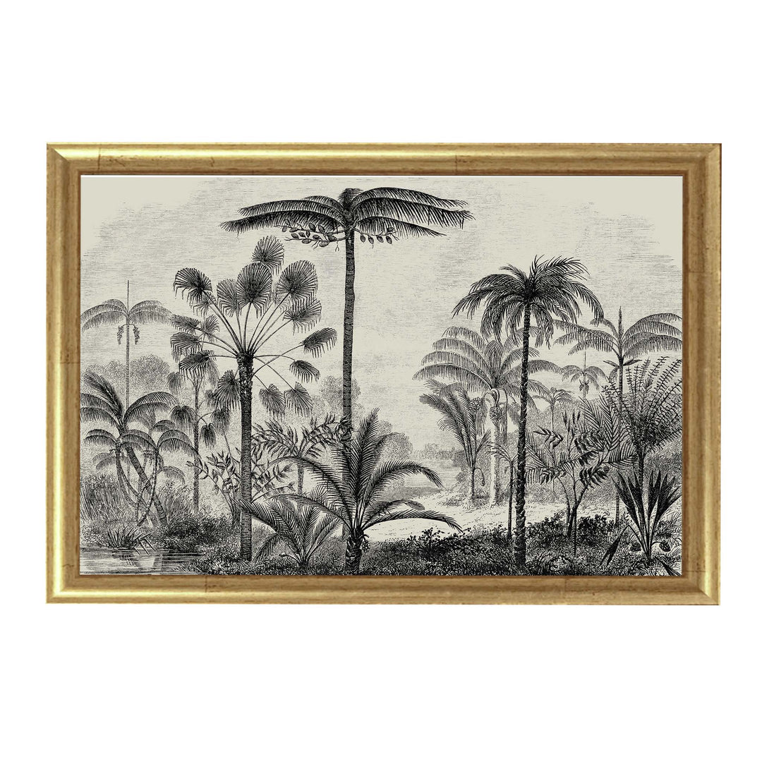 Black and white vintage illustration of palm trees