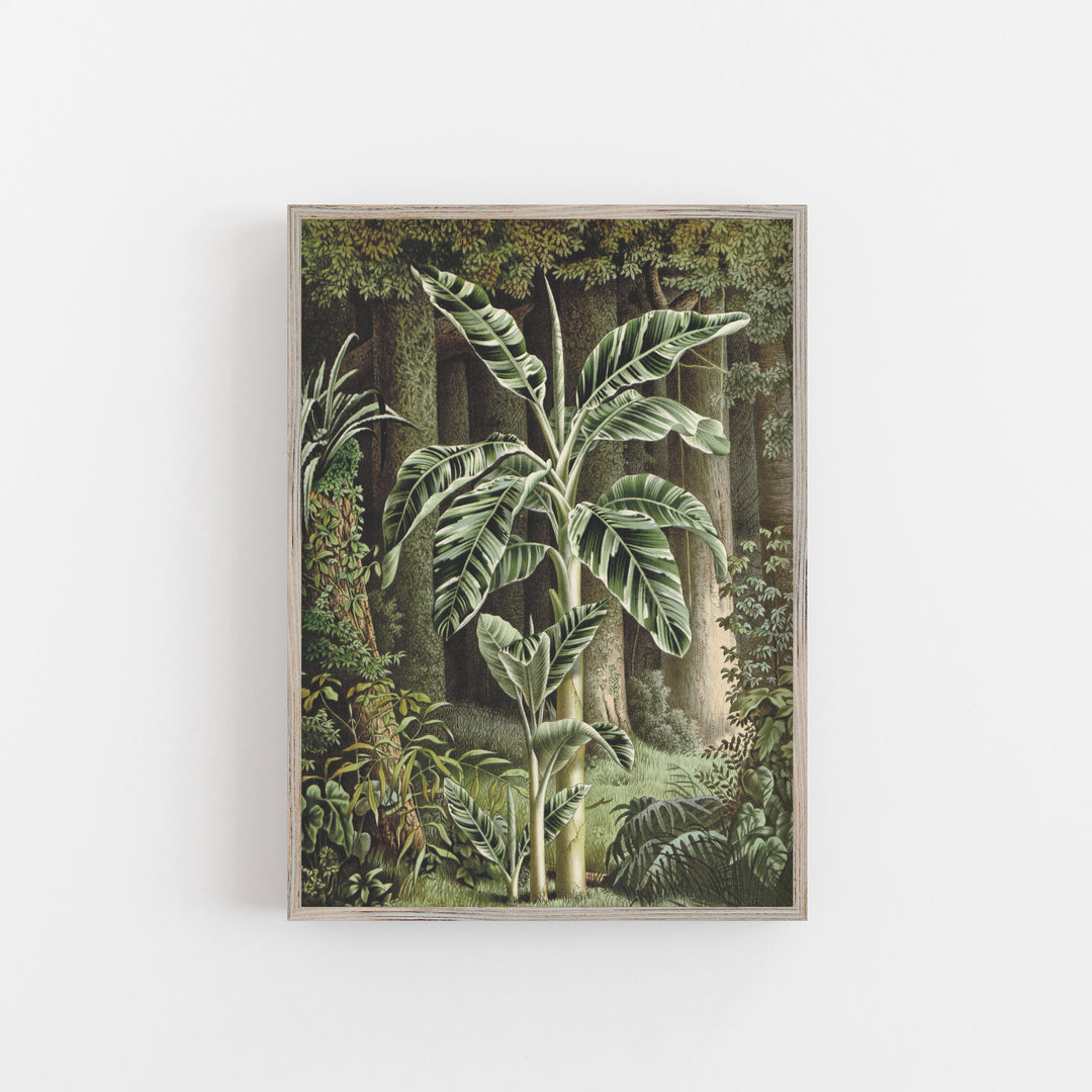 Tropical jungle print