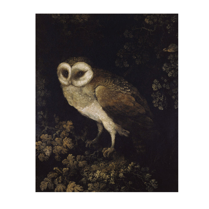 Owl print