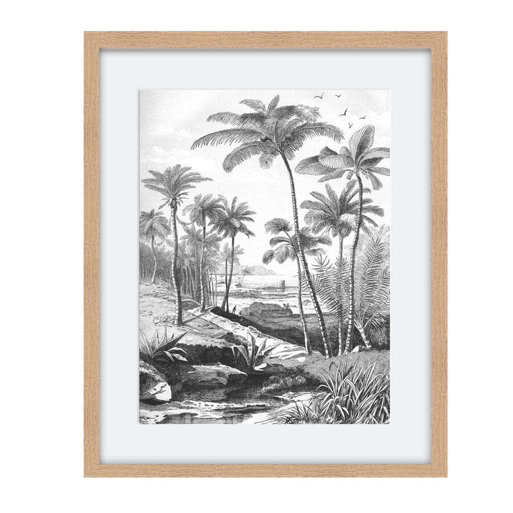 Vintage etching of palm trees along a river with a beach in the distance