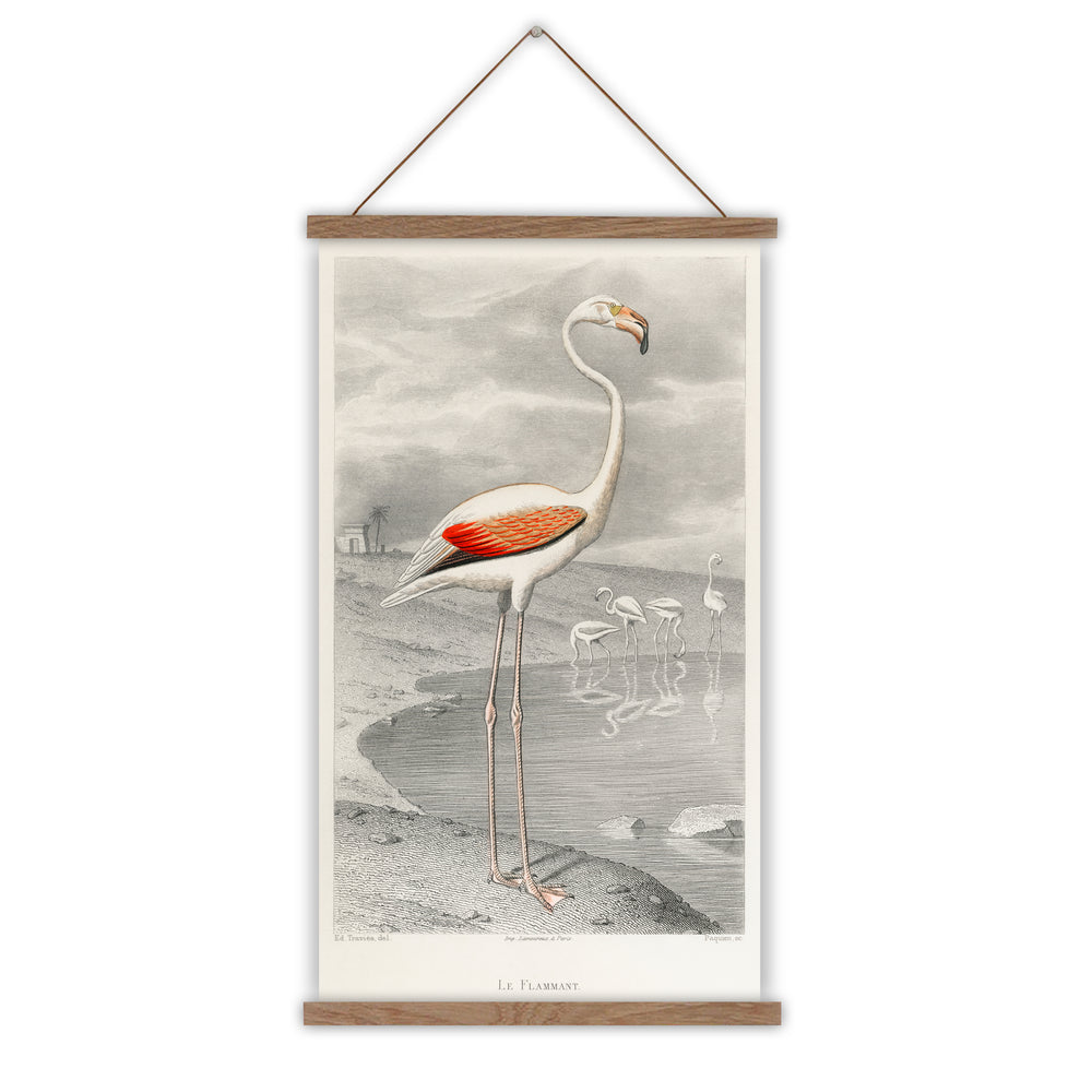 Flamingo vintage fine art canvas wall chart