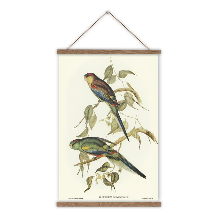 Vintage parakeet bird canvas wall chart