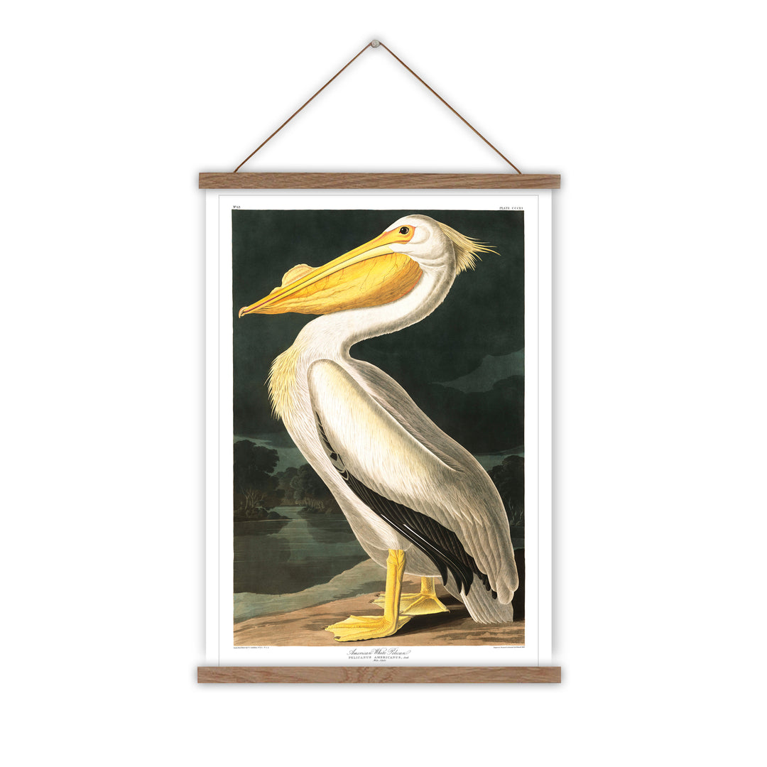 Pelican vintage canvas wall chart